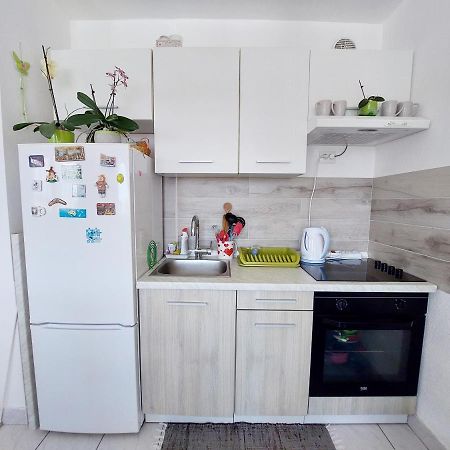 Dubravka Apartment Pula Ngoại thất bức ảnh