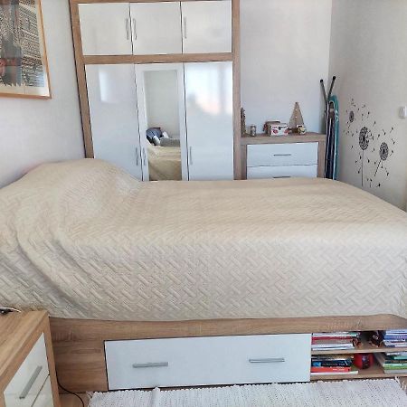 Dubravka Apartment Pula Ngoại thất bức ảnh